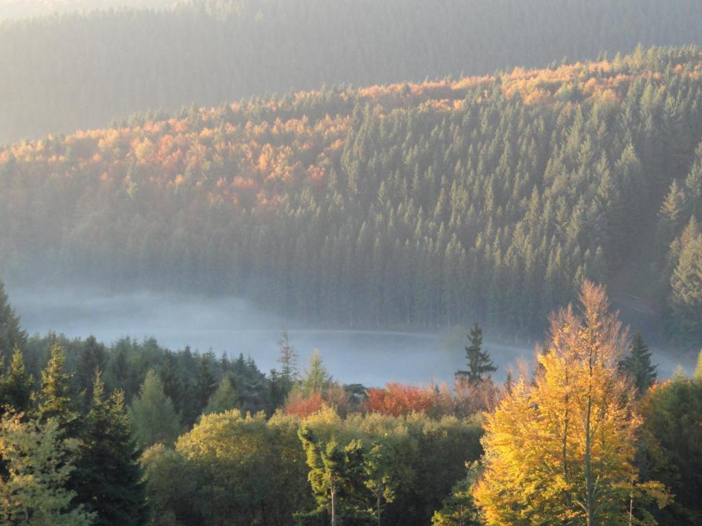 Landhotel Fernsicht Вінтерберг Номер фото